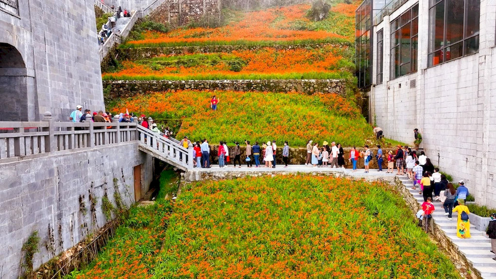 A large number of tourists visit Fansipan in spring